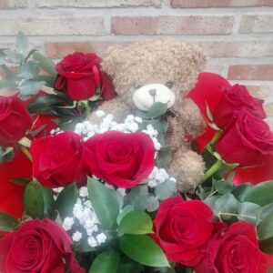 12 rosas